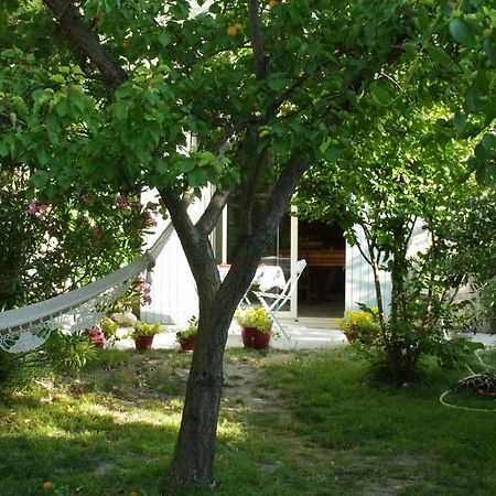 Soleil Et Ombre Hotel Villedieu  Zewnętrze zdjęcie